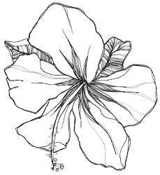 flower drawing flowers easy drawings orchid gladiolus rose simple hibiscus power draw coloring illustration colouring national plant orchids malaysia pages