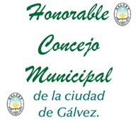 Honorable Concejo Municipal