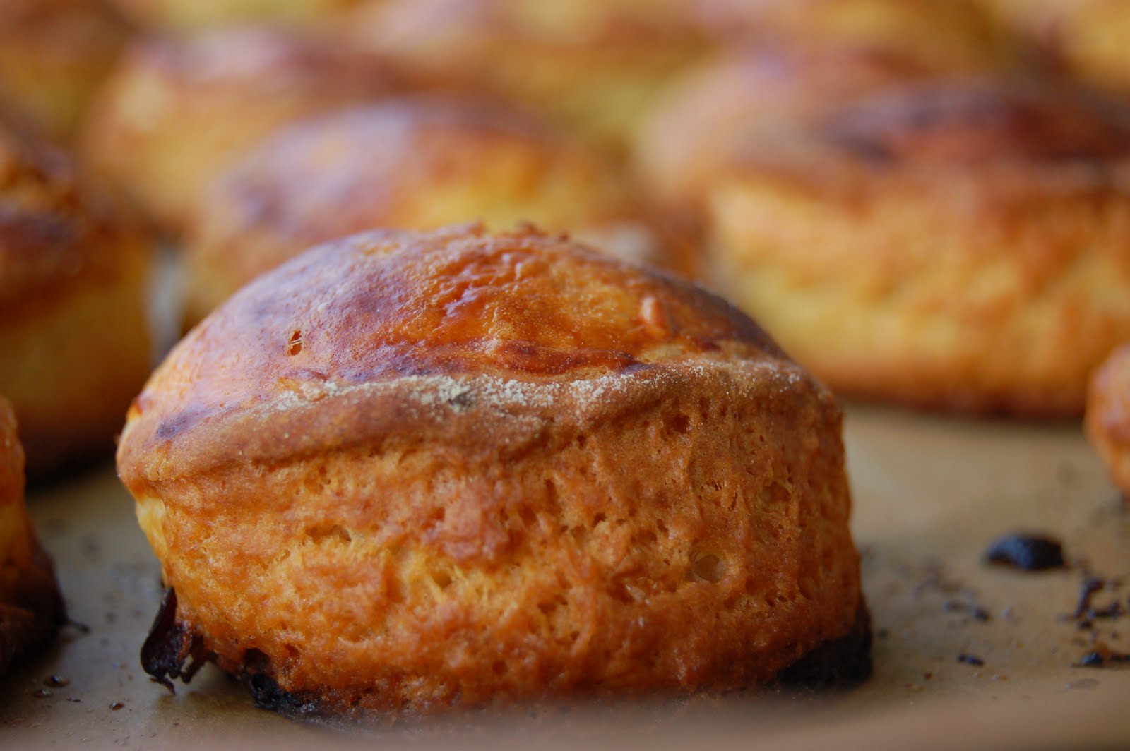 [scones3.JPG]