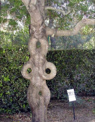 image006.jpg