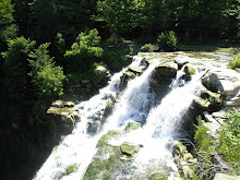 Chittenango Falls Park...