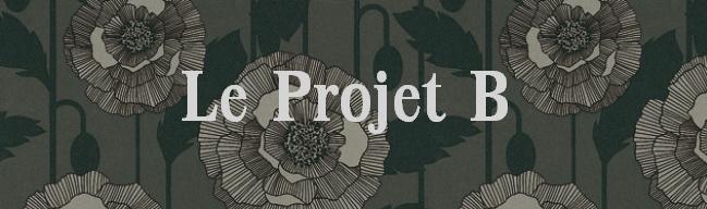 Le Projet B