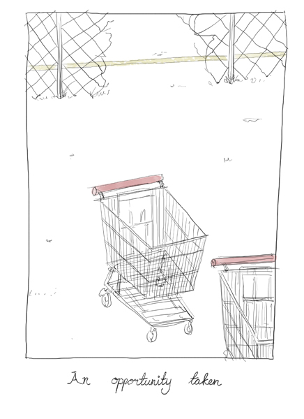 [carts3.jpg]