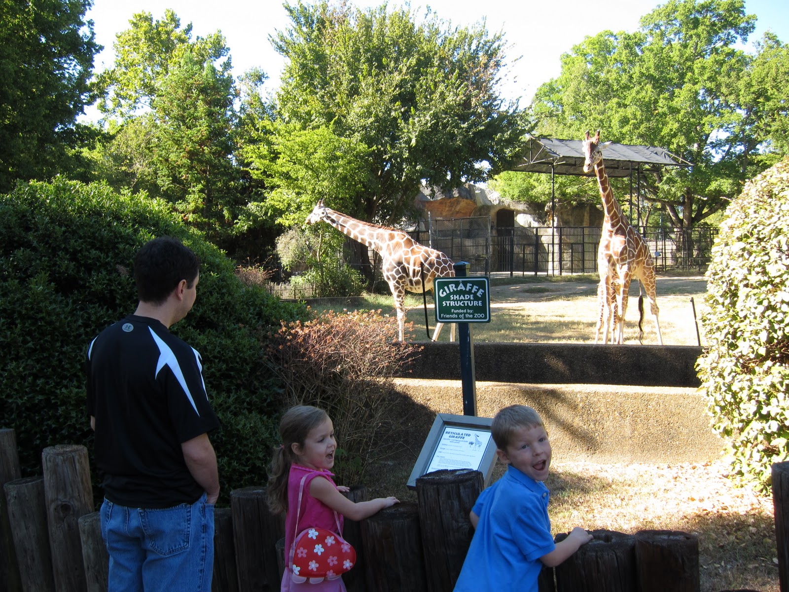 Sharona's Homelife The Jackson Zoo