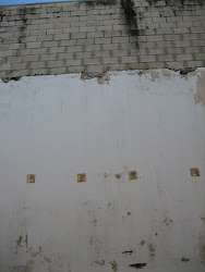 THE WALL IN FRONT