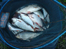 Roach Net from River Mersey Dec 06