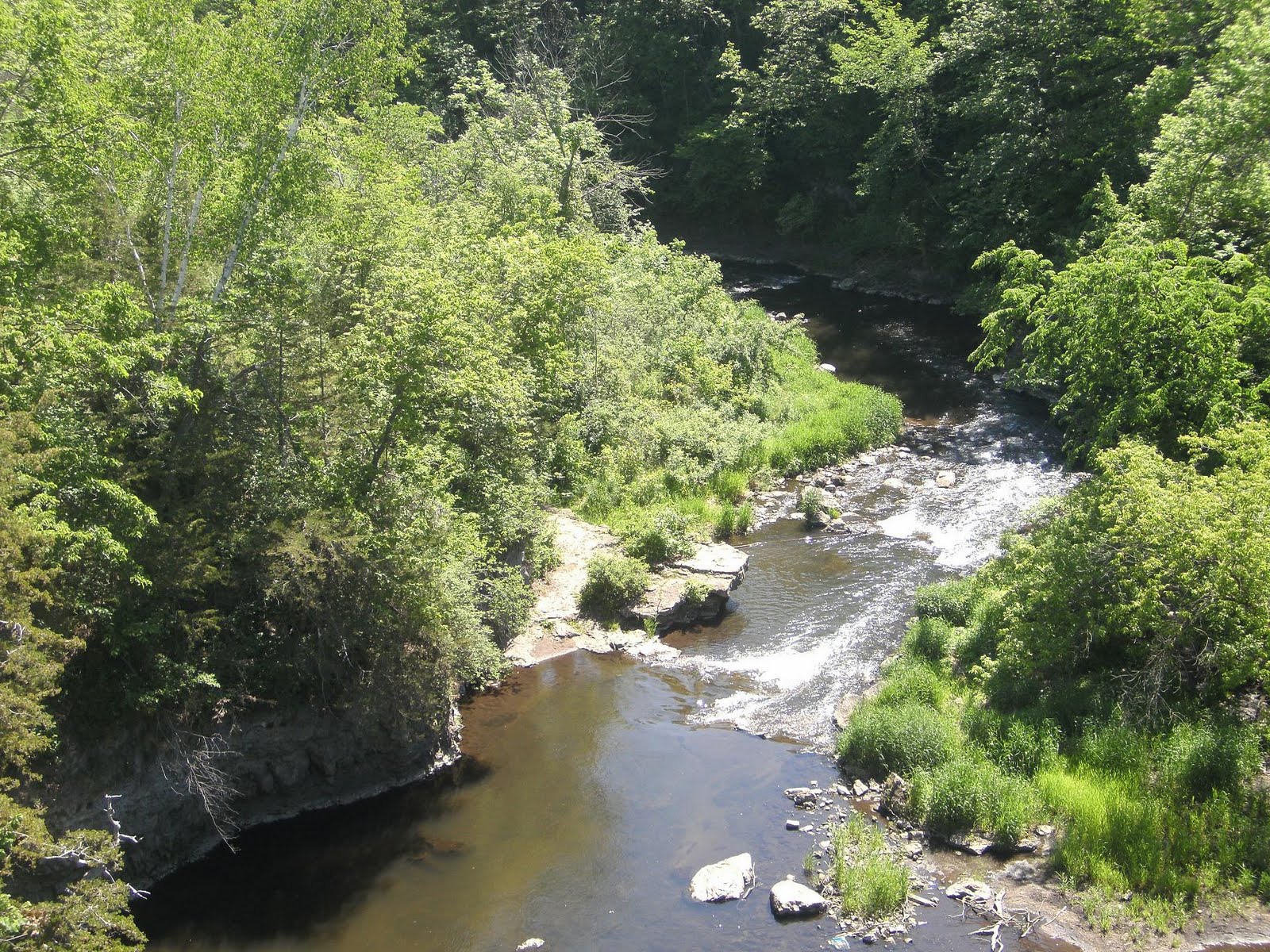 Rose Covered Glasses City, County and State Government Working