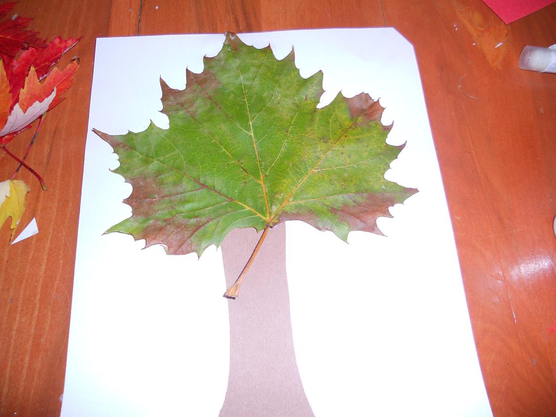 Fun Preschool Activities Easy Crafts for Kids Tree with Real Leaves