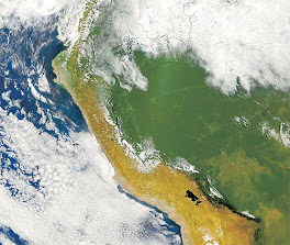 Red de Corresponsales de Emergencias del Peru