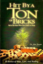 Hit By a Ton of Bricks by Dr. John Vawter