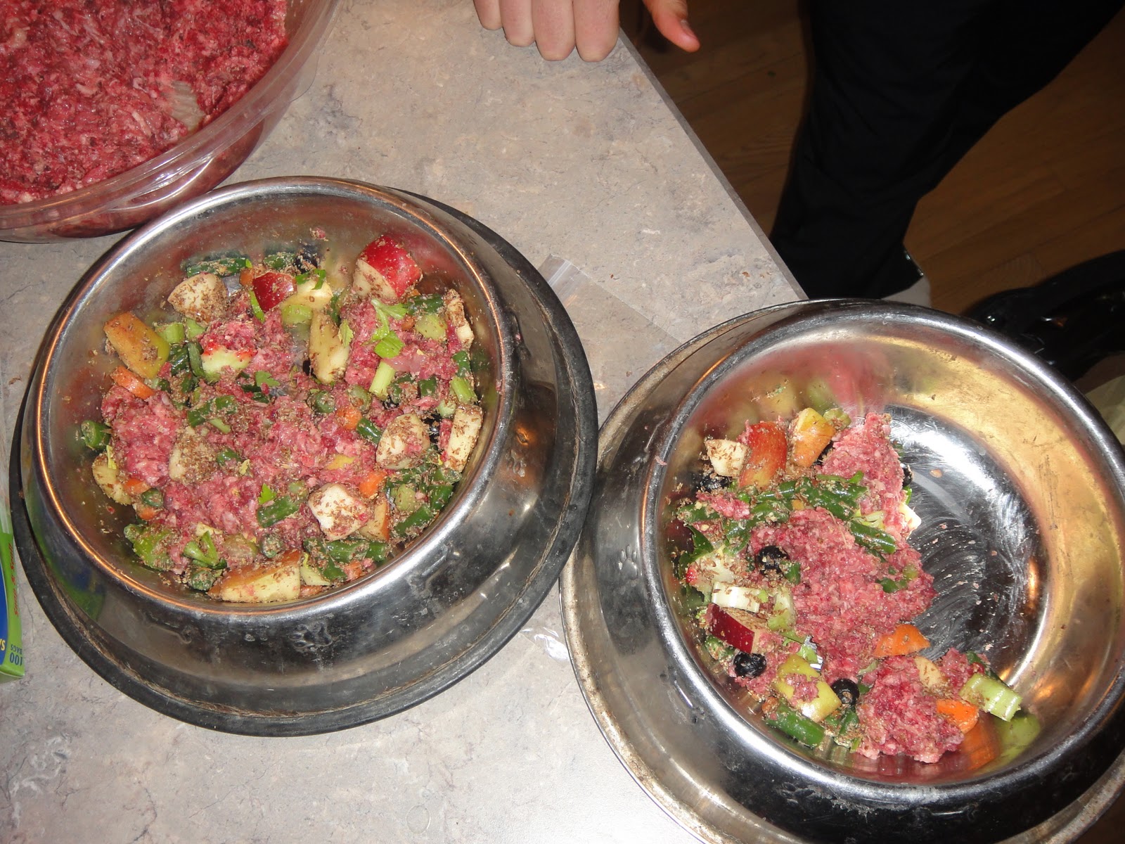 Life On Our Terms: Paleo is great for Dogs too