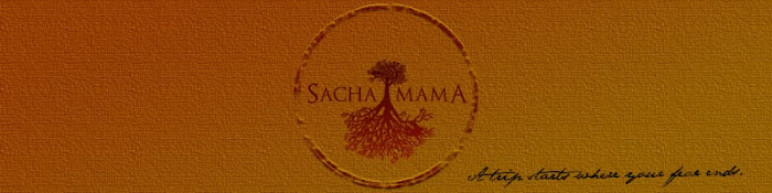 sachamama-film