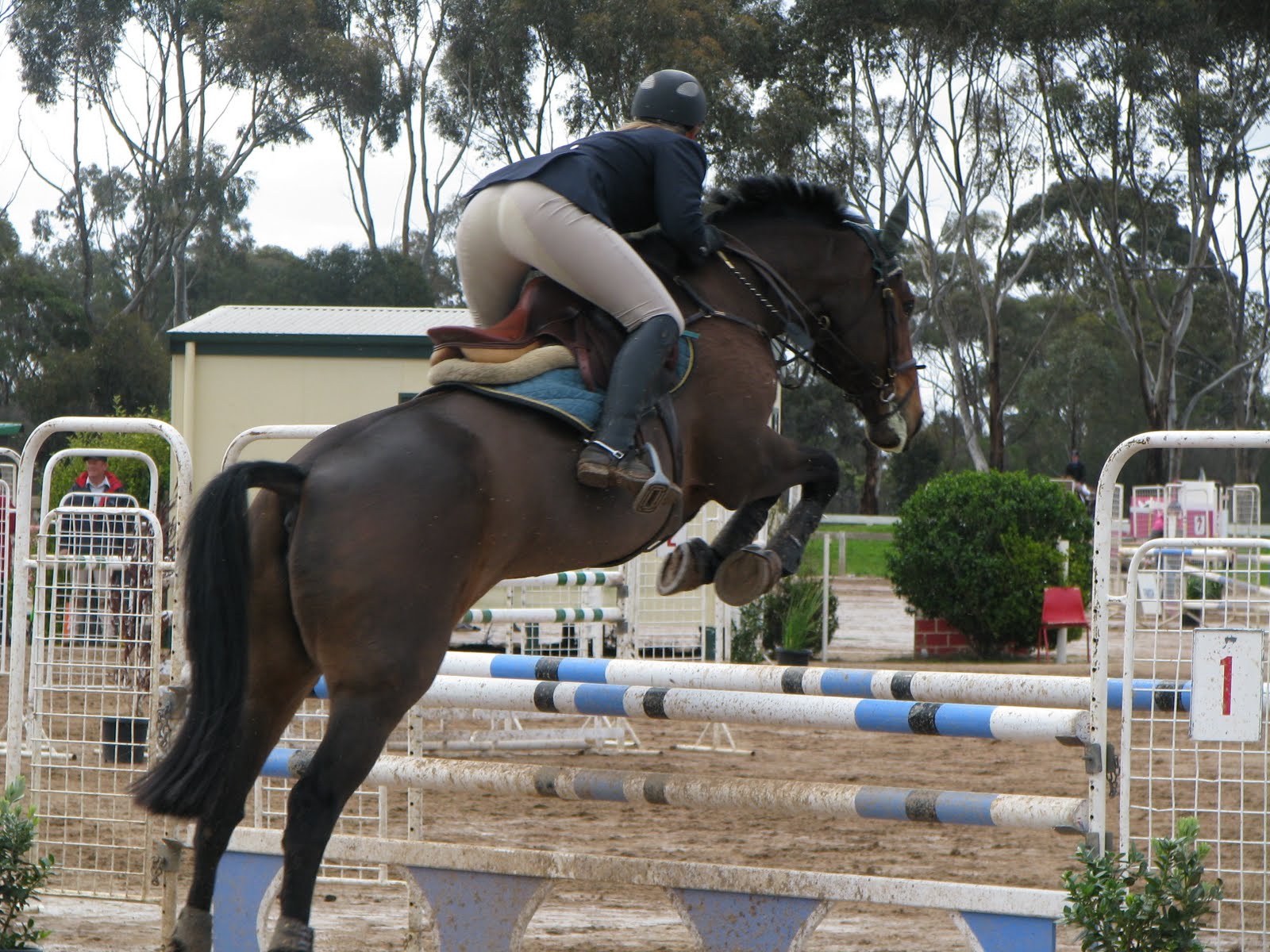 Hawke Nest Melbourne Equestrian Center