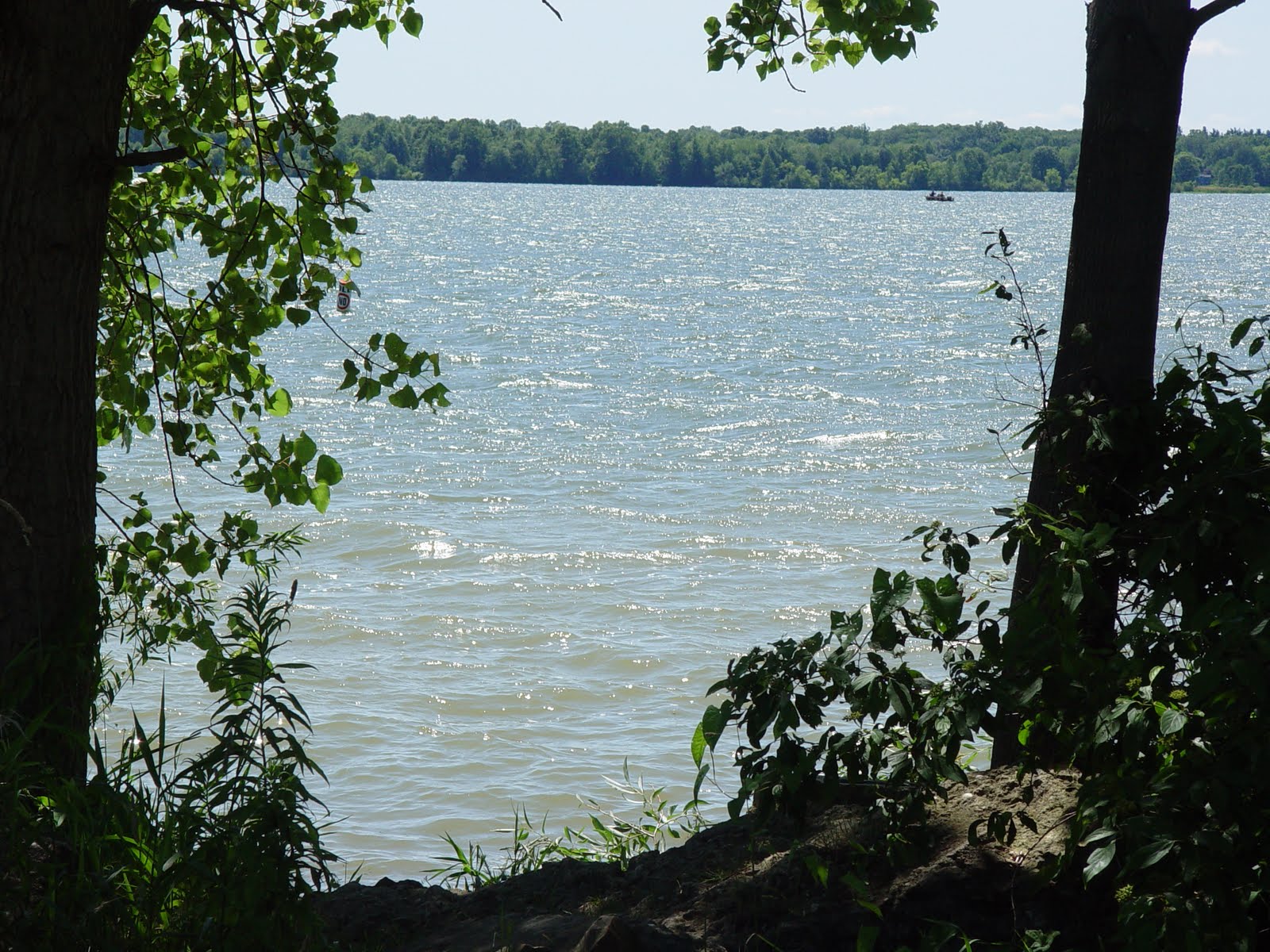 Flipside What's not to likeKayaking Mosquito Lake, Ohio