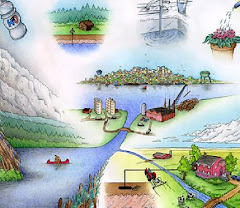 Carta Europeia da Água