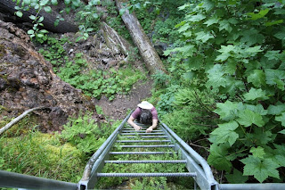 Lava Canyon Trail 184 Ladder