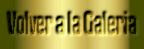 VOLVER GALERIA