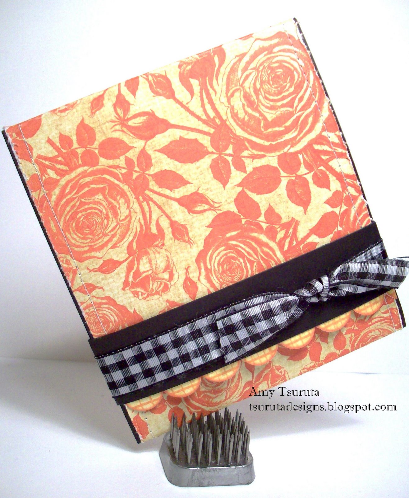 [sassy+trifold+1.JPG]