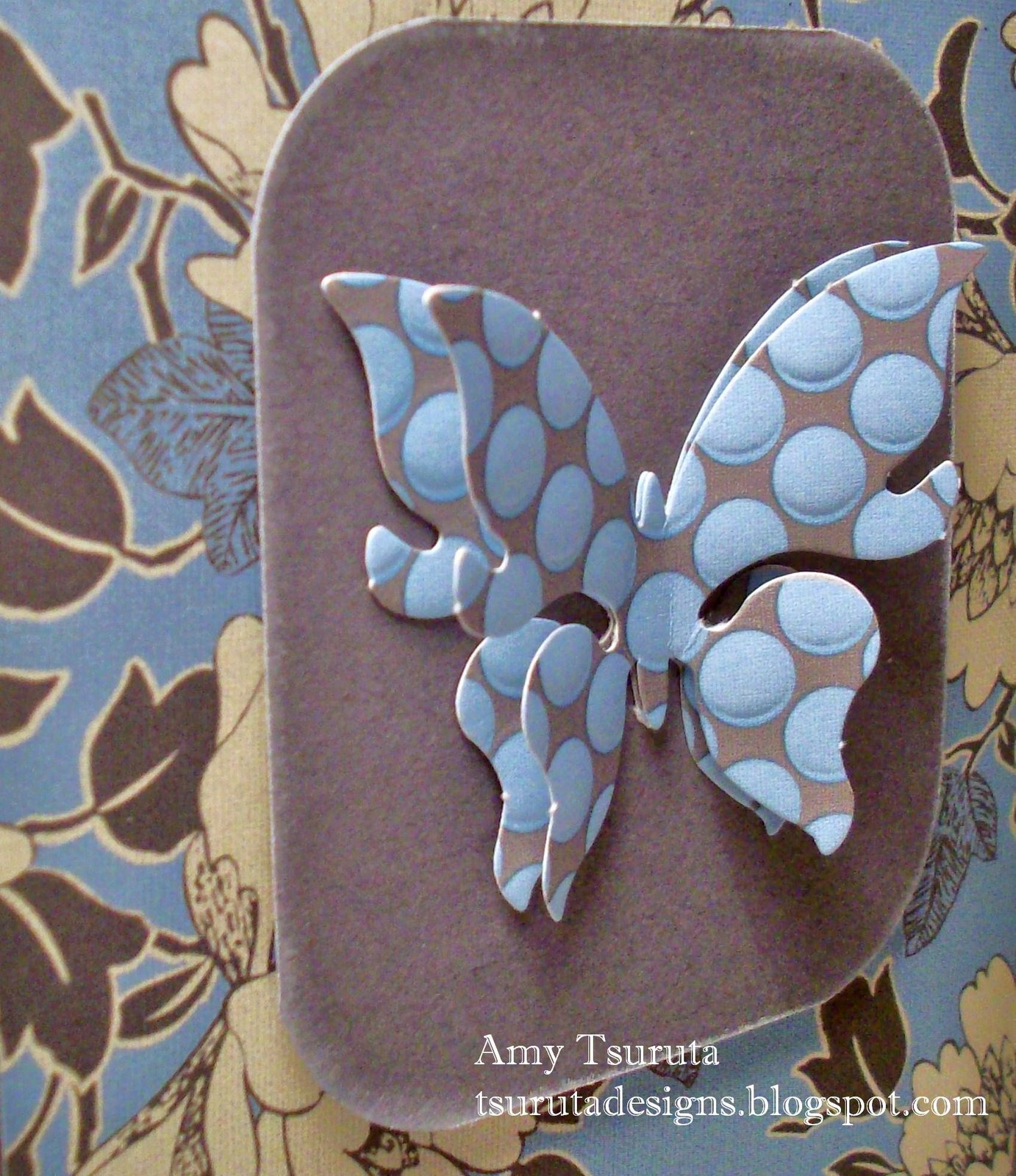 [butler+butterfly+close+up.JPG]