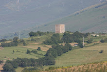 TORRE SAN MARTIN DE HOYOS