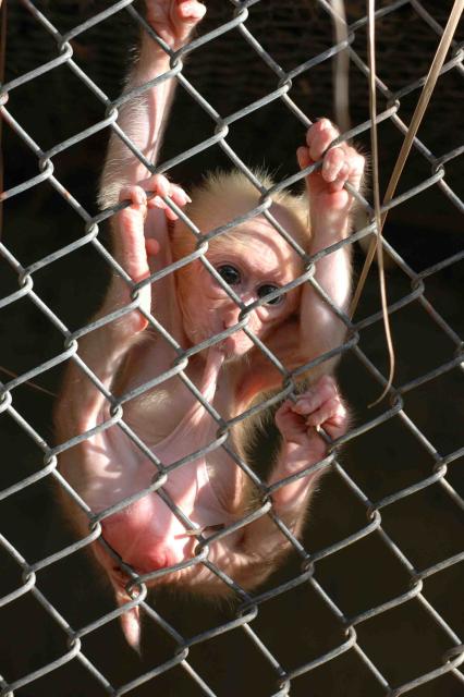 [image0236-715207.jpg]