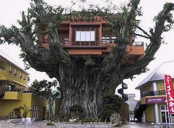 [image0218-711990.jpg]