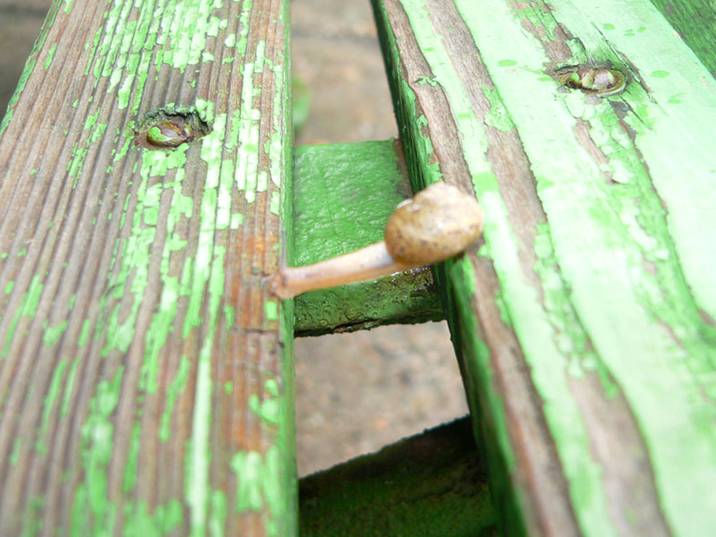 [image004-796526.jpg]