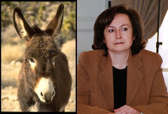 [makeup4-792242.jpg]