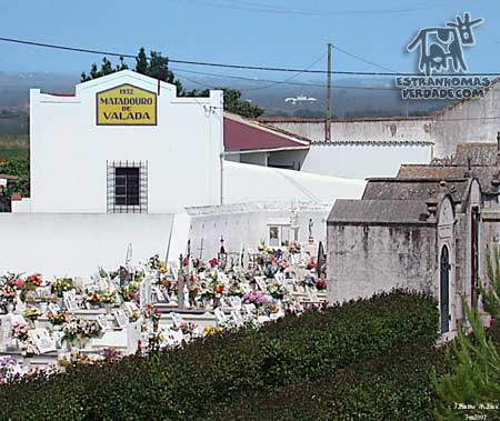 [P_matadouro-792267.jpg]