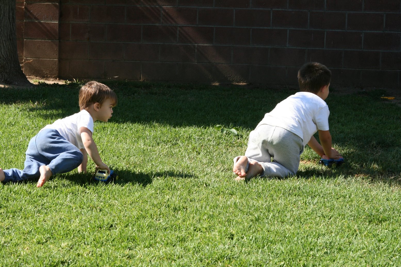 [Traffic+on+the+grass.JPG]