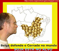 Sustentável ou capitalismo verde?