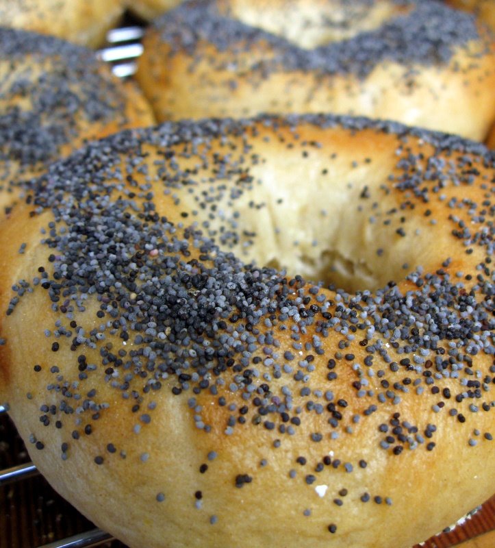 Cheese A Day: Bagel Recipe