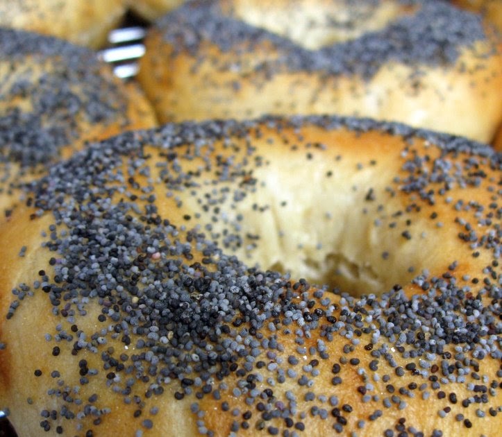 Cheese A Day: Bagel Recipe