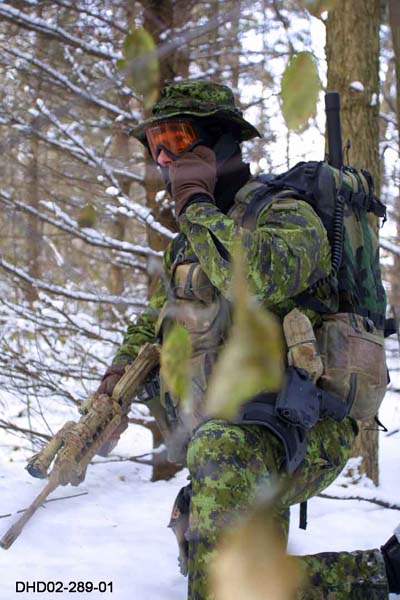 Desarrollo y Defensa Conociendo a las Fuerzas Especiales del Canadá