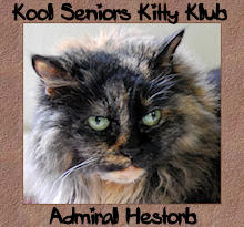Kool Seniors Kitty Klub Member