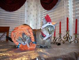 My cats on Halloween!