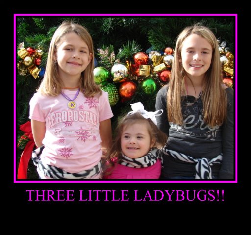 Three Little Ladybugs