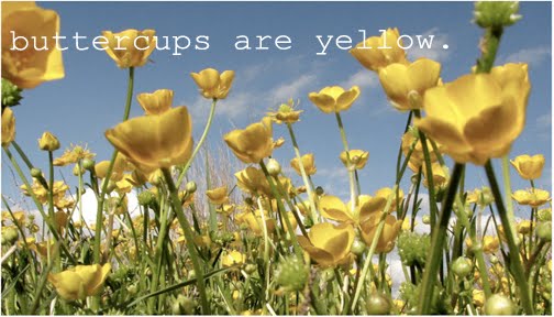 If Only If Only The Woodpecker Sighs Poem - Book Review Holes By Louis