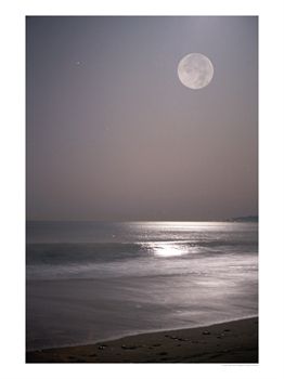 [Mitch+Diamond+2.jpg]