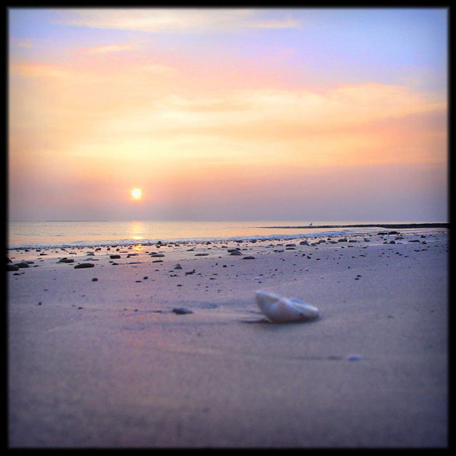 [Pascal+Renoux,ort.p24.jpg]