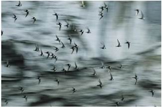 [Stephen+Alvarez.jpg]