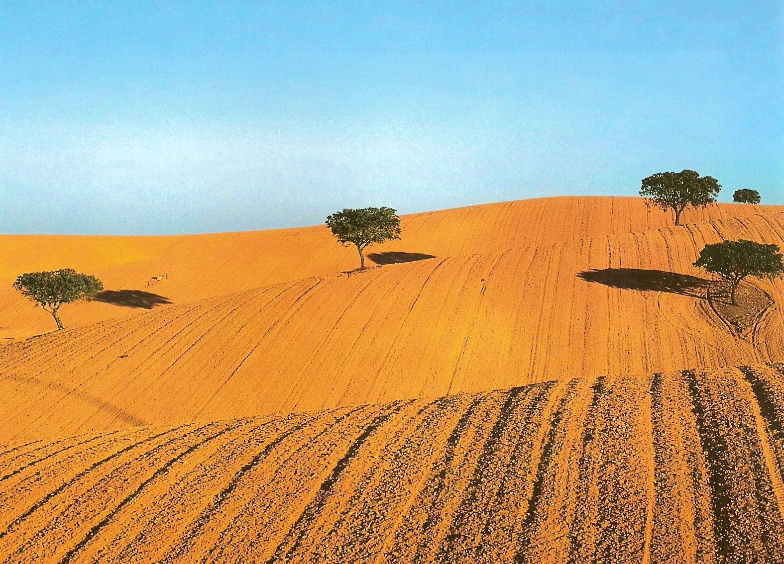 [Maurício+Abreu.jpg]