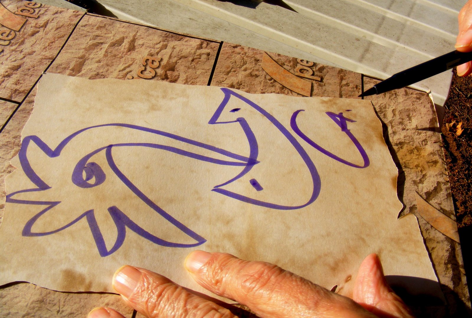 [Desenho+Ramos+Rosa.jpg]