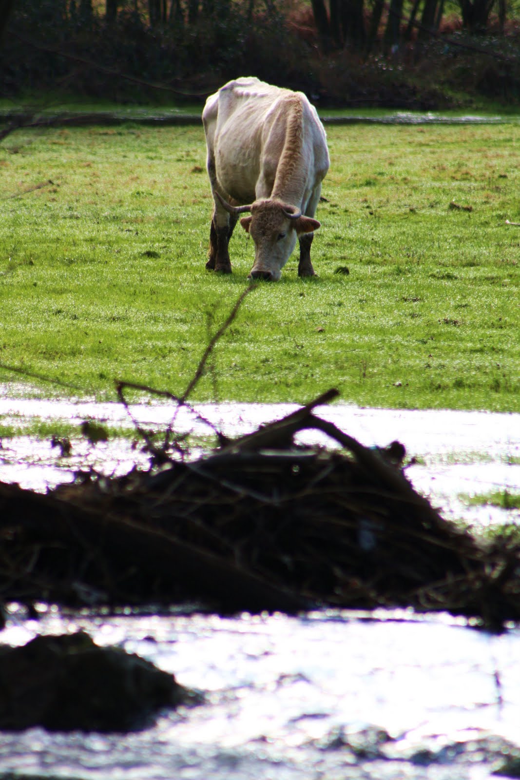 [by_ruipires.lmg@gmail.com.JPG]