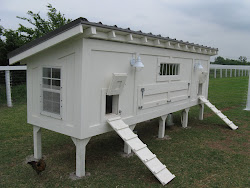 chicken coop pemberley farmhouse welcome