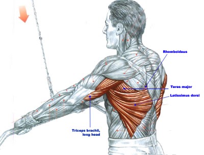 Straight Arm Lat Pull Downs