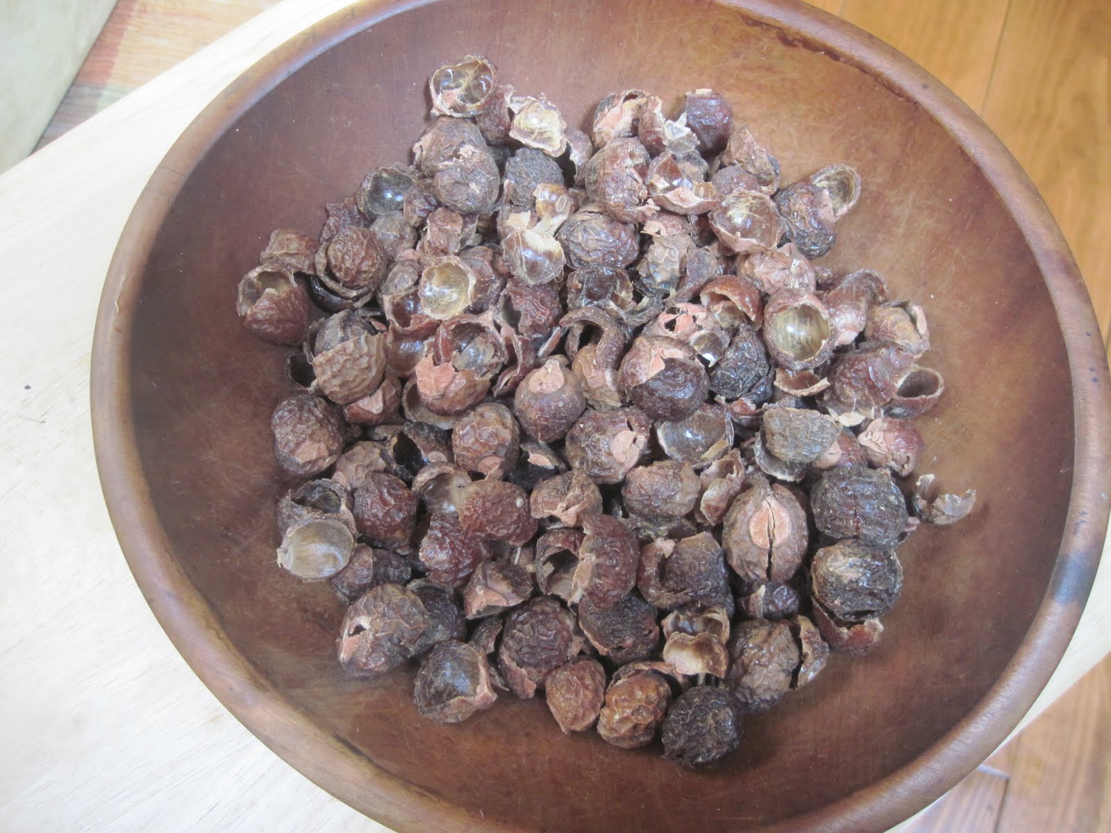 The Lyme Disease Sentinel Blog SOAP NUTS AMAZING ALL NATURAL CLEANER