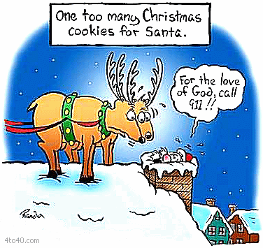 Pin by vivian graham robinson on daisies gs December 2010 | saki • music art books zines people