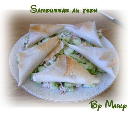 samoussas au thon sur salade recettes entrees Ptits samoussas épinards et pignons de pin