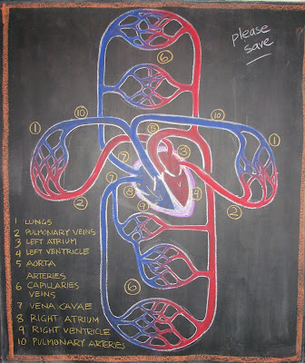 human digestive system diagram for kids. blank digestive system diagram